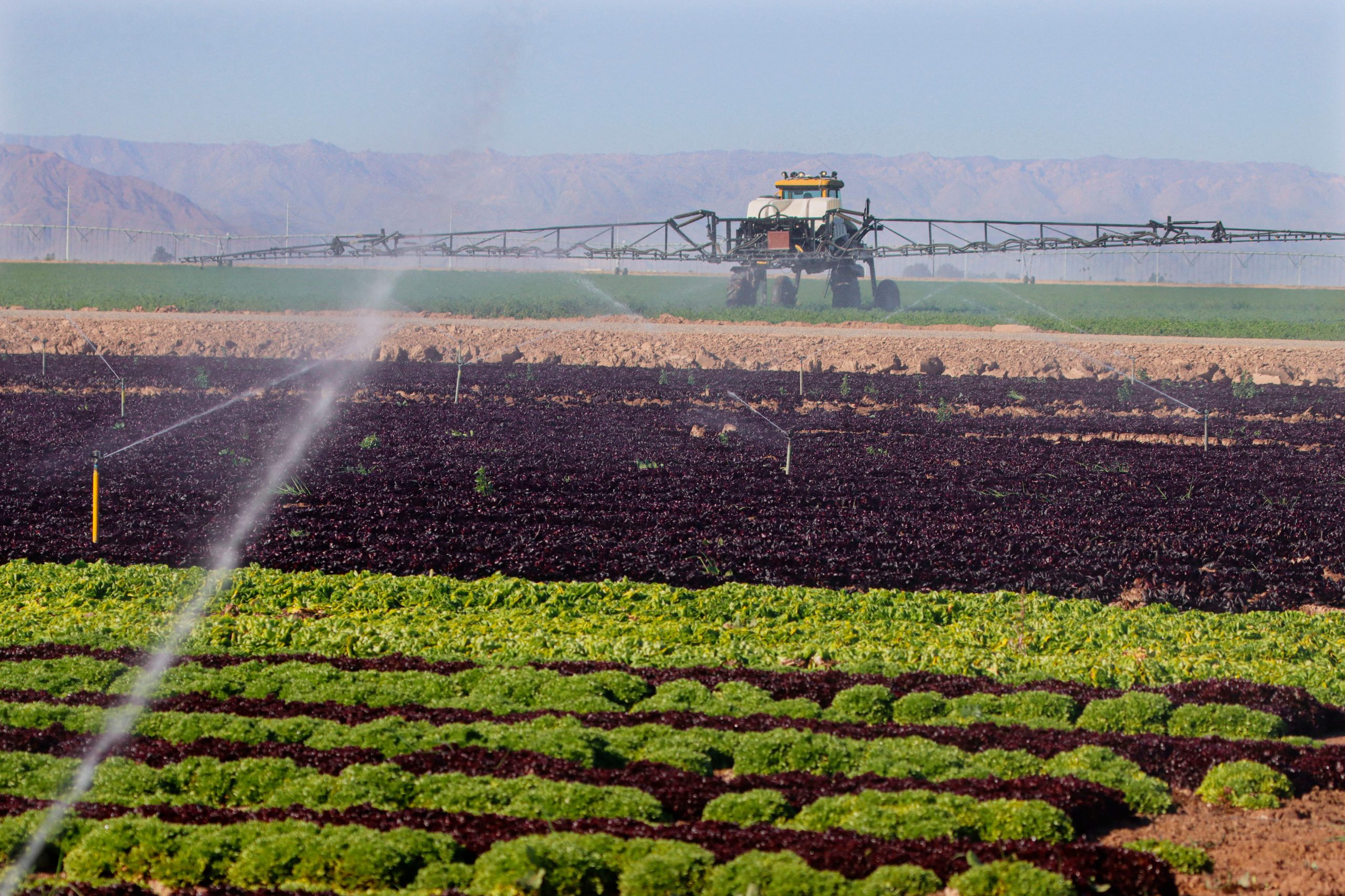 California Can Slake the Thirst of Its Farms by Storing Water Underground